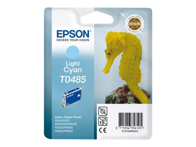 Epson T0485